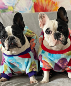 4Patas matchy matchy - comprar online