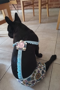 Pack x 3 bombachas - Cane