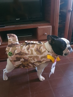 Salvavidas camuflado en internet