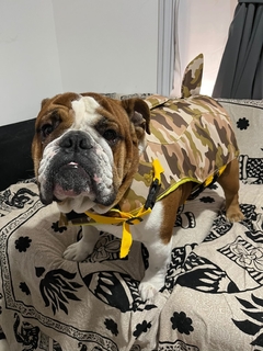 Salvavidas camuflado