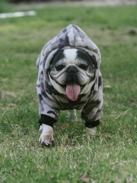 Buzo rambo - comprar online