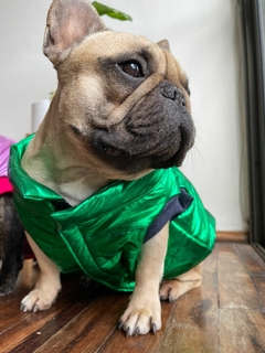 chaleco Greeny