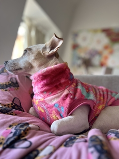 polera hippie chic en internet