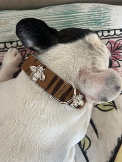 Collar print pelo 100%cuero - Cane