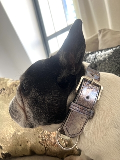 Collar riri 100% CUERO - Cane