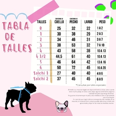 4patas frenchie alien - tienda online