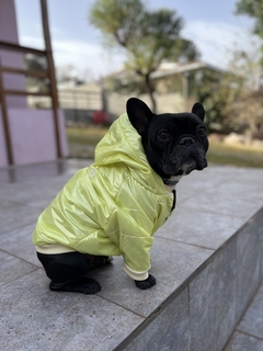 CAMPERA LIMA