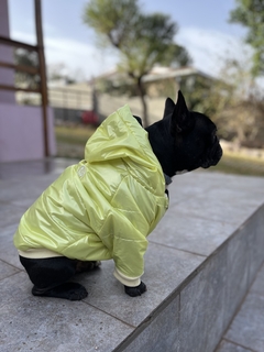 CAMPERA LIMA - comprar online