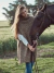 Poncho Poleron Montana - tienda online