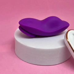 Vibrador de Calcinha Recarregável com Controle - comprar online