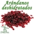 ARÁNDANOS DESHIDRATADOS