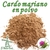 CARDO MARIANO EN POLVO