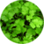 SEMILLA DE CILANTRO NATURAL - EL MOLINO VERDE