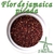 FLOR DE JAMAICA - PICADA