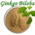 GINKGO BILOBA - MOLIDA