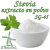 STEVIA SG45 - EXTRACTO PURO EN POLVO