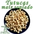 TUTUCAS - MAIZ POP