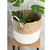 CESTO DE CORDA C/ ALGODAO 38XH34CM (seagrass) - comprar online