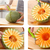 ESCULTOR E BOLEADOR DE FRUTAS 3X21CM (inox) na internet