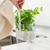 ORGAN DE HORTALIÇAS CLEAR FRESH 2,3l itros
