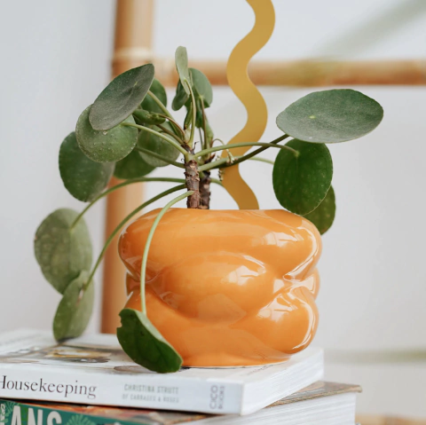 MACETA CERÁMICA DUOMO CHICA (VARIOS COLORES)