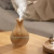 HUMIDIFICADOR AROMATIZADOR JARRON