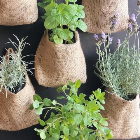 CONTENEDOR PARA COLGAR