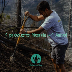 Oráculo Astrológico - comprar online