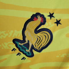 camisa-da-frança-nike-2024-2025-24-25-goleiro-amarela-patrociníos-patrocinadores-uniforme-nova-lançamento-novo-profissional-torcedor-torcedores-elastano-futebol-masculina-masculino-homem-