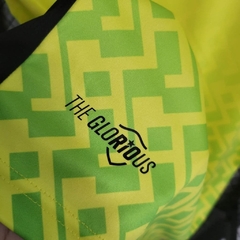 camisa-do-botafogo-reebok-2023-2024-23-24-treino-treinamento-amarela-com-verde-patrocinios-patrocinadores-uniforme-nova-lancamento-novo-profissional-torcedor-torcedores-futebol-masculino-masculina-confortavel-frete-gratis-qualidade-loja-confiavel-barata-n