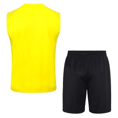 borussia-dortmund-puma-2023-2024-23-24-amarelo-preto-regata-camiseta-camisa-shorts-short-conjunto-treino-treinar-treinamento-malhar-novo-nova-lancamento-temporada-fresco-profissional-verao-original-oficial-loja-confiavel-qualidade-barato-premium-confiança