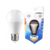 LAMPADA BULBO 12W 6500K - CTB - Eletrica WF