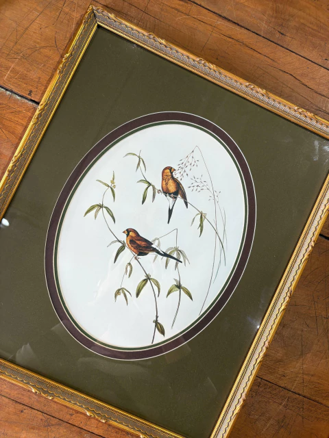 Dupla de Quadros: Pássaros 04 - comprar online