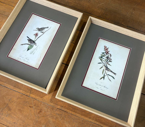 Dupla de Quadros: Pássaros 03 - comprar online