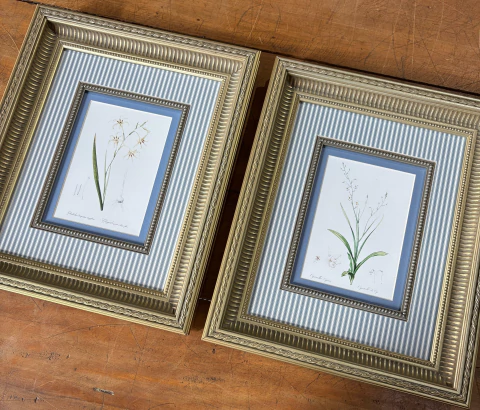 Dupla de Quadros: Florais 08 - comprar online