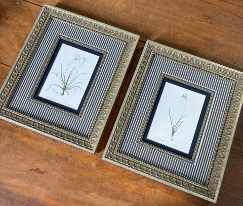 Dupla de Quadros: Florais 04 - comprar online