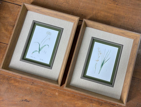 Dupla de Quadros: Florais 03 - comprar online