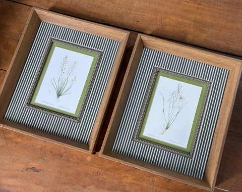 Dupla de Quadros: Florais 02 - comprar online