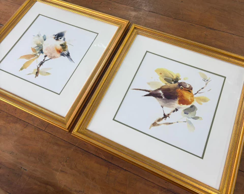 Dupla pássaros 50x50