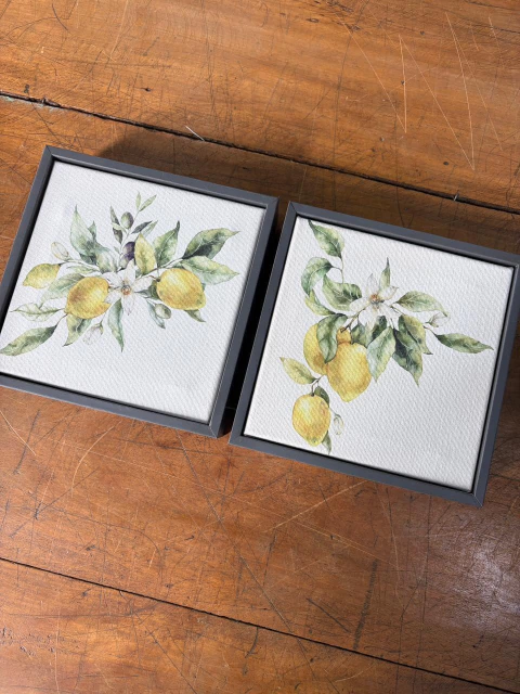 Dupla limão 17x17