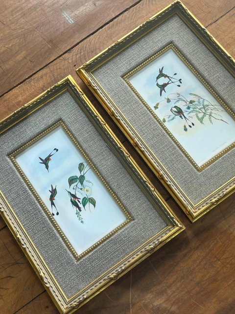 Dupla Beija-flor 22x32