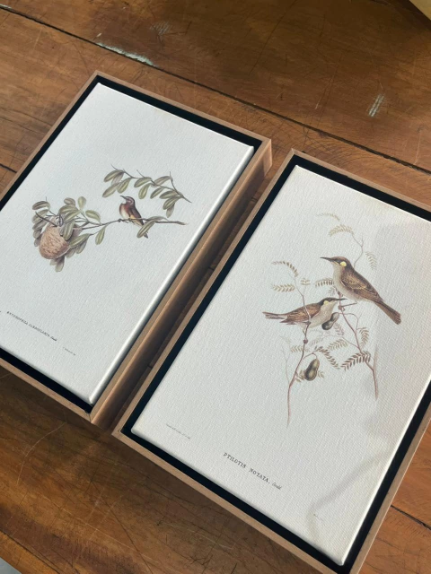 Dupla pássaros 23x33