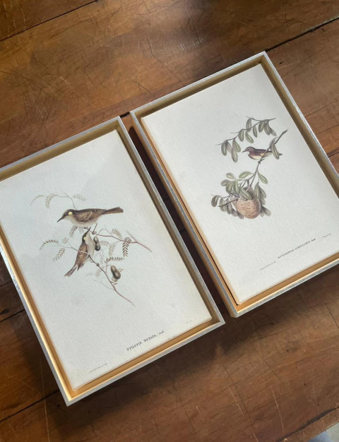 Dupla pássaros 23x33