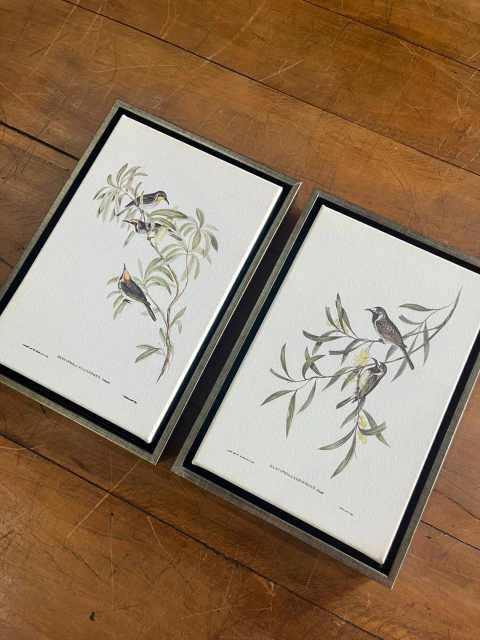 Dupla pássaros 23x33