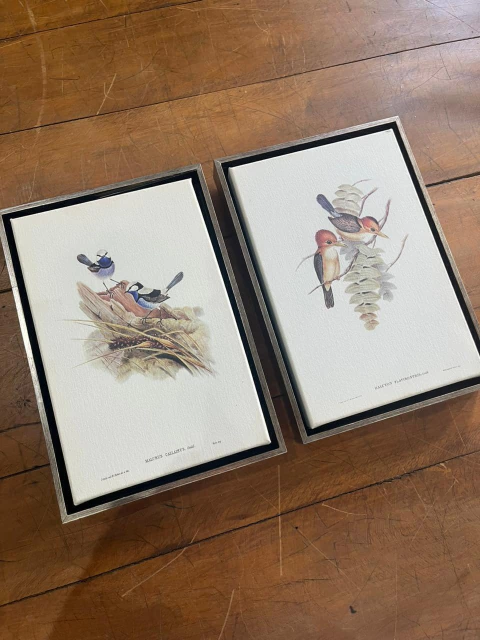 Dupla pássaros 23x33