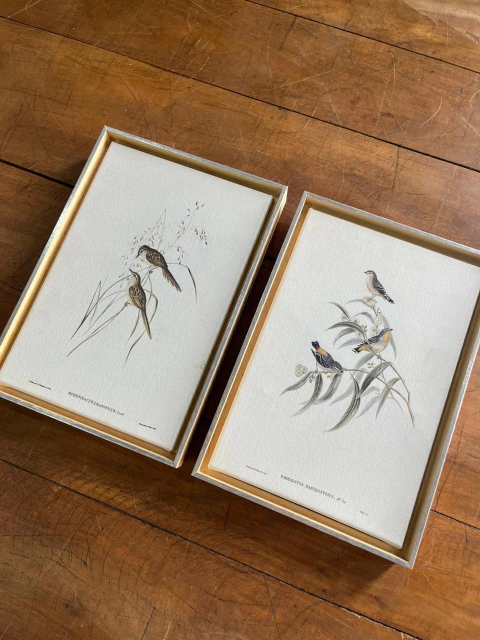 Dupla pássaros 23x33