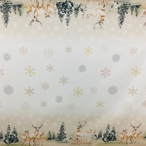 TROPICAL NAVIDEÑO 1