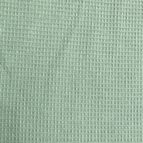 NIDO DE ABEJA VERDE