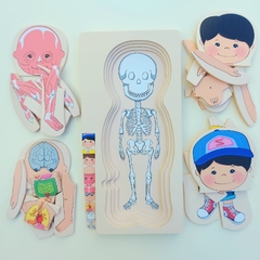 ENCASTRE CUERPO HUMANO EN CAPAS en internet