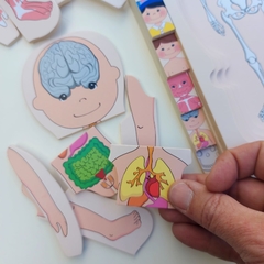 ENCASTRE CUERPO HUMANO EN CAPAS - Tienda de Cositas